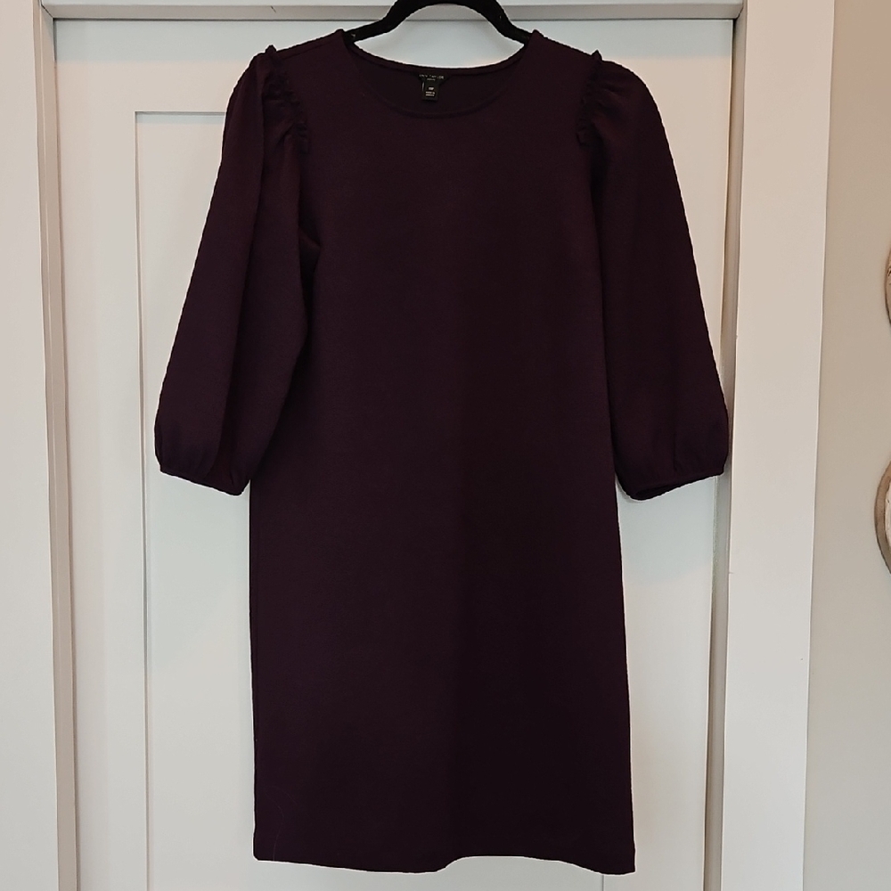Ann Taylor Plum Long Sleeve Dress